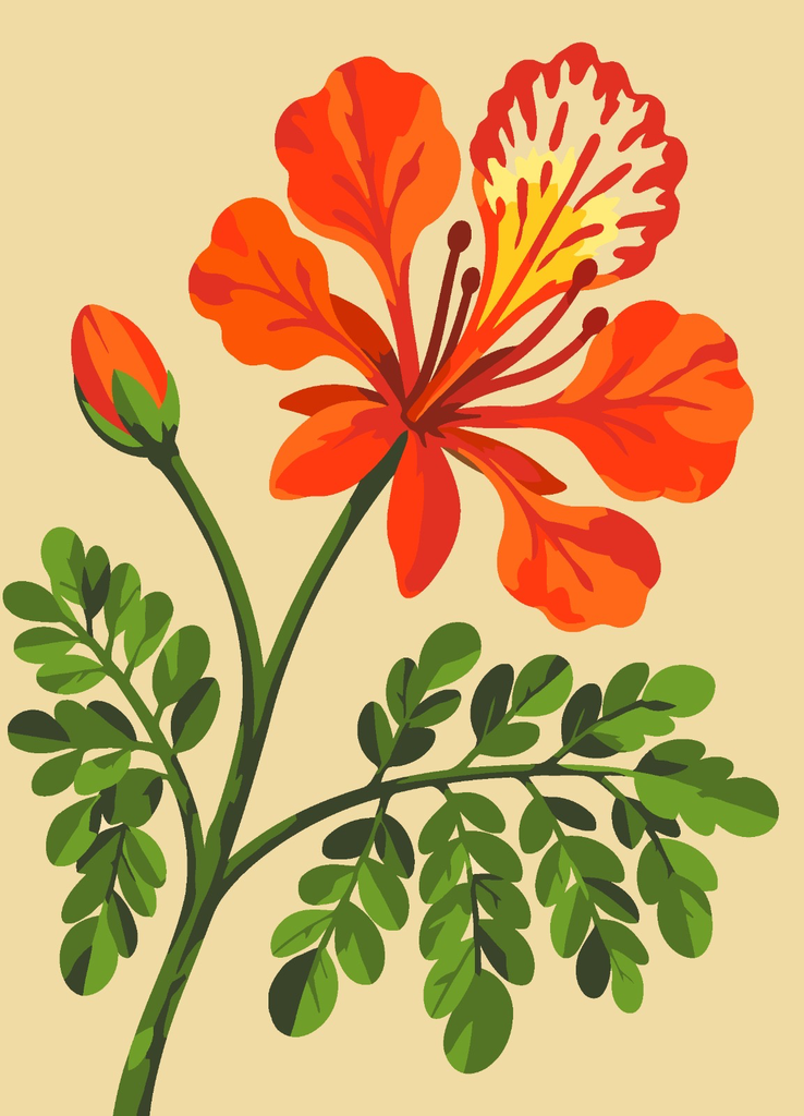 Paint by Numbers – Flame Tree Season No. 06 (Without frame)